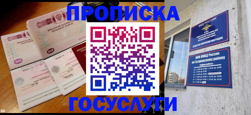 временная регистрация купить в Павловске