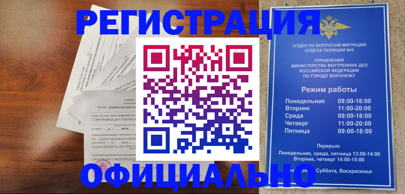 прописка поиск в Павловске